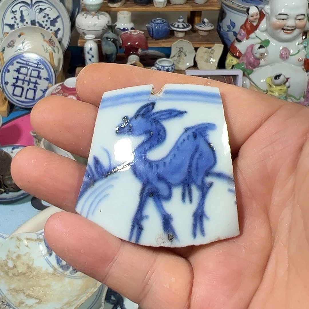 瓷片瓷片标本，全场包邮