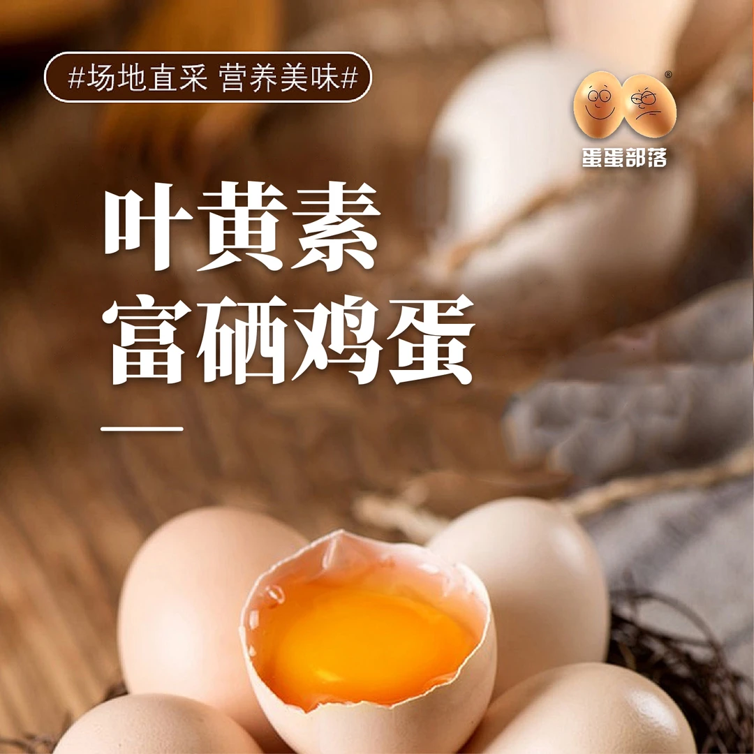 蛋蛋部落富硒叶黄色可生食无菌新鲜健康无抗鸡蛋礼盒装鸡蛋