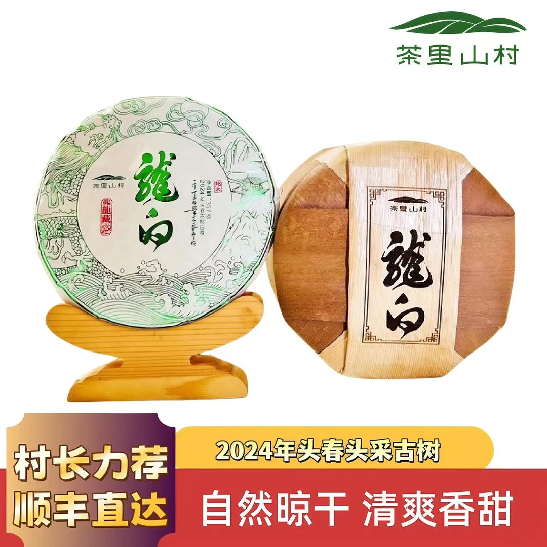 2024年/邦木村/《龙白》/头春头采/大古树/云南白茶/357g饼