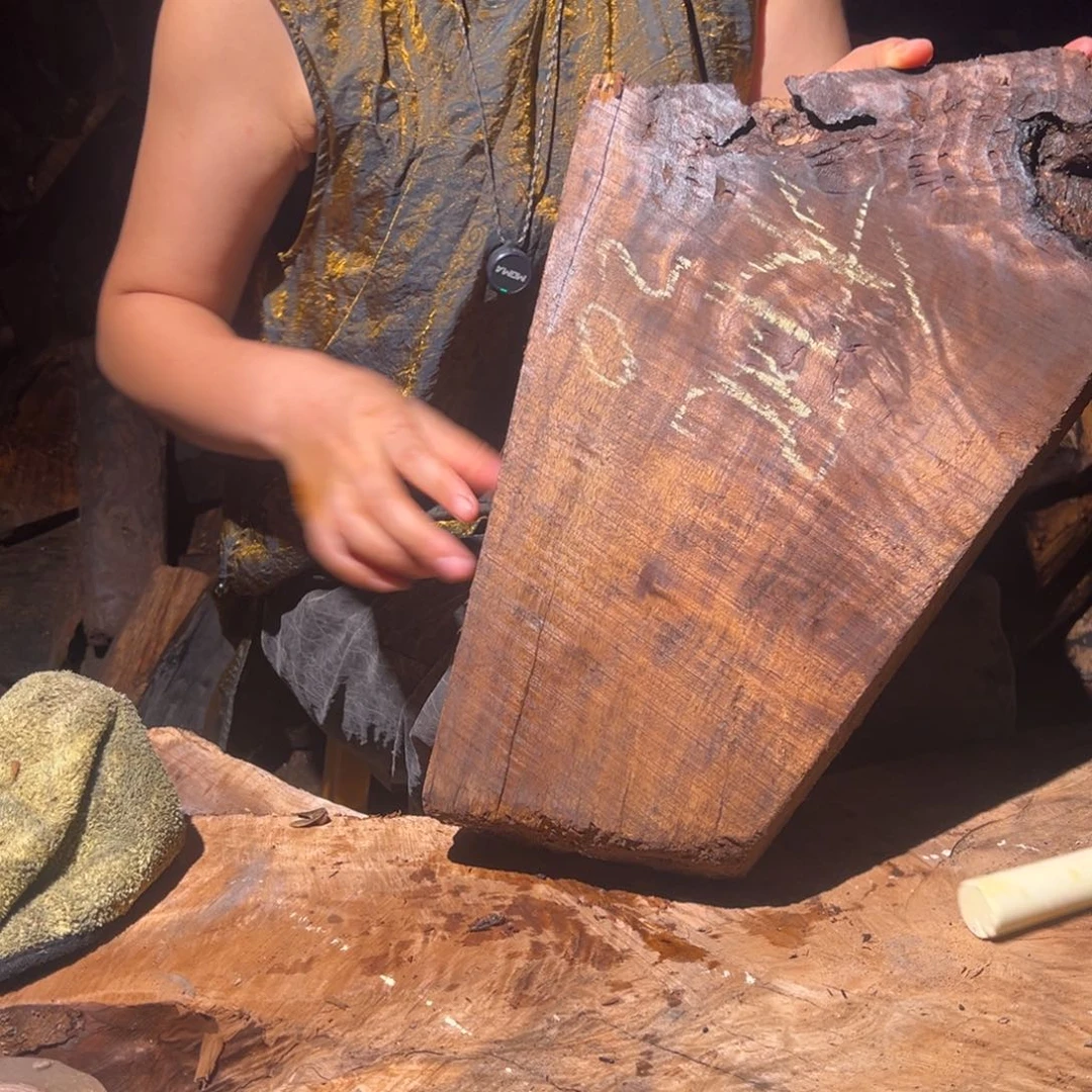 金丝楠禾*22222222222222222