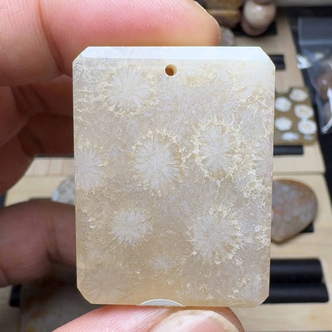 硅化珊瑚（珊瑚玉）未镶嵌纯天然色有机玉石保真色