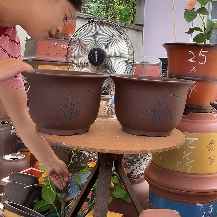25+25平角金钟花盆紫砂花盆紫砂