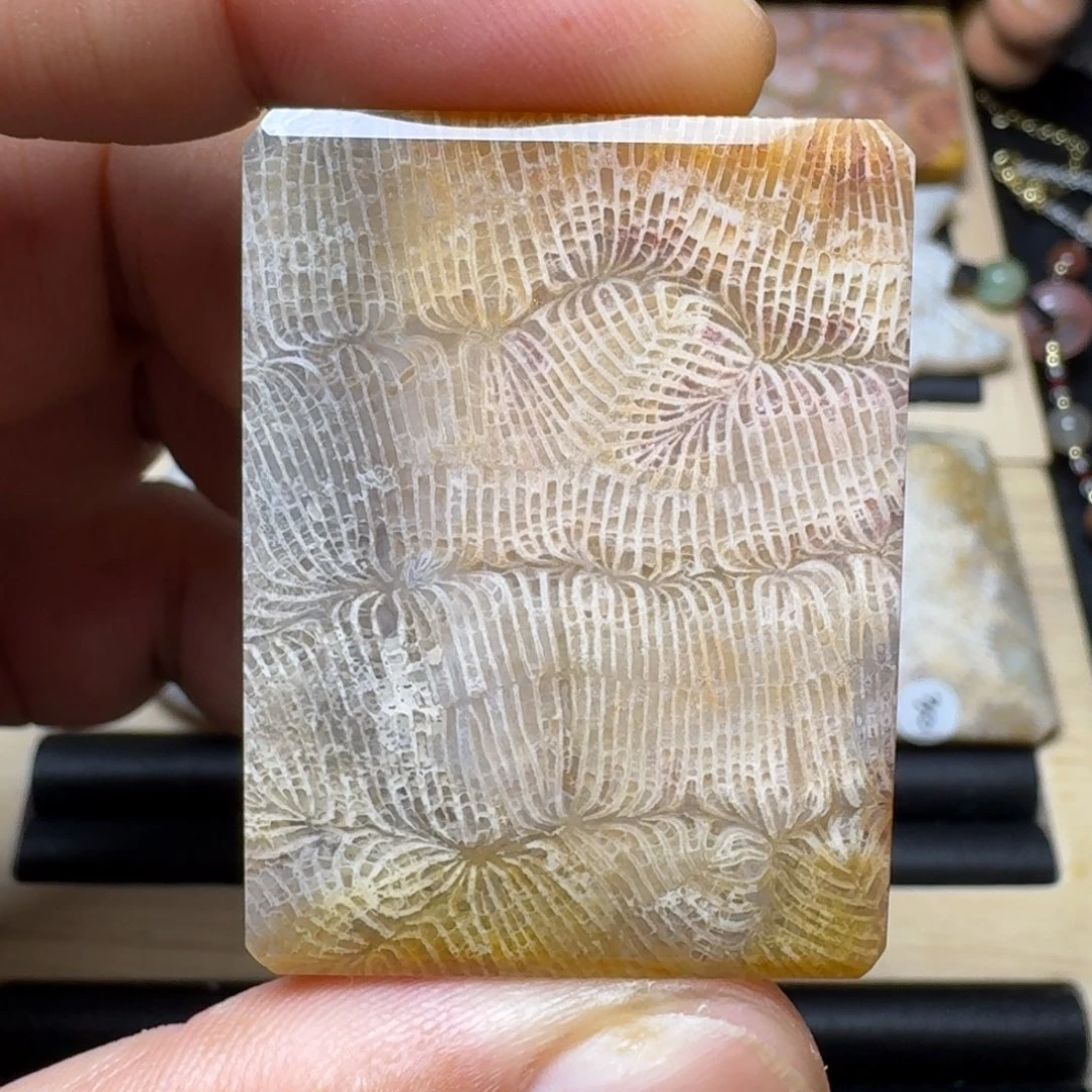 硅化玉未镶嵌纯天然色有机玉石保真色