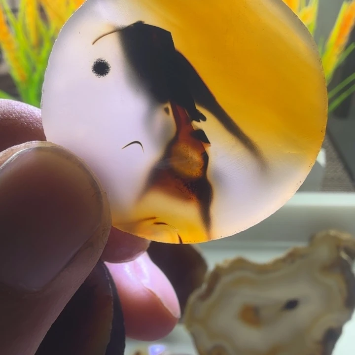 伊***5玛瑙/玉髓未镶嵌摆件