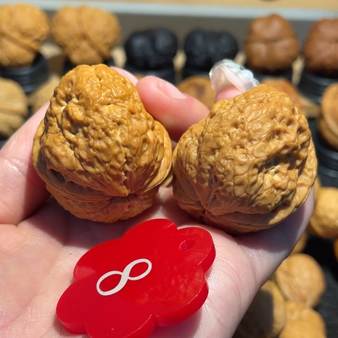 粗筋帝王蟾39。