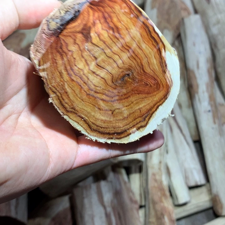 花梨木类海南黄花梨