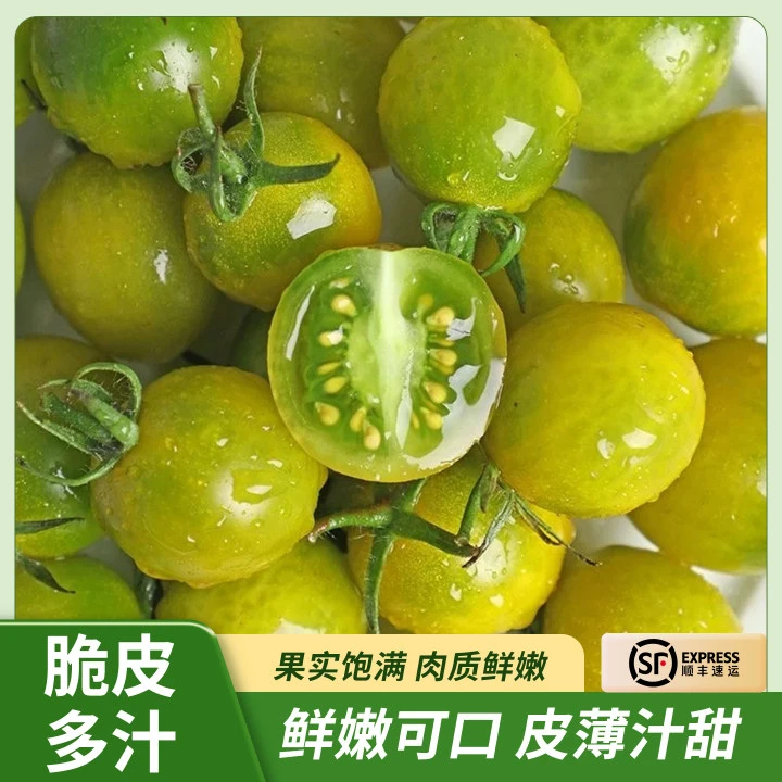 正宗青甜2号小番茄现摘现发应季皮薄多汁自然成熟顺丰包邮