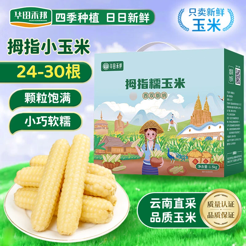 【每日新鲜】云南拇指玉米儿童奶香早餐水果玉米糯玉米拇指小玉米