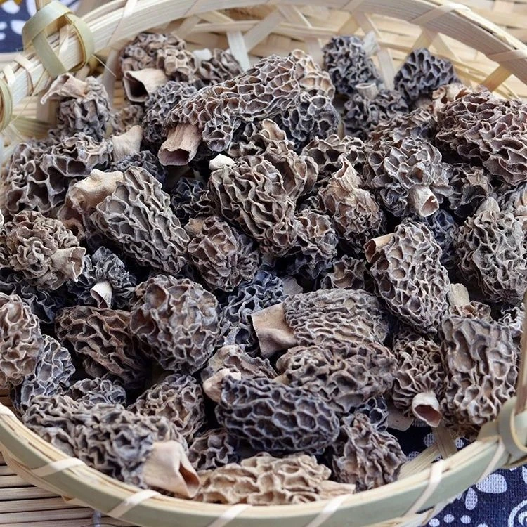 云南高山羊肚菌干货煲汤菌菇营养美味