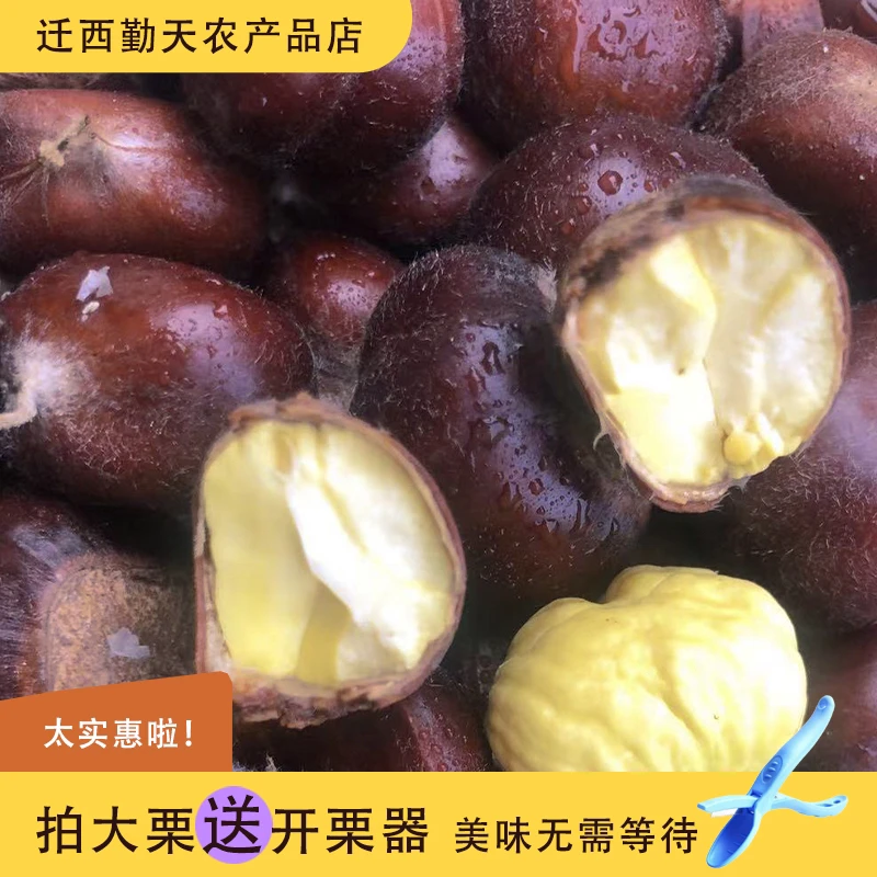 正宗板栗新鲜板栗燕山板栗板栗清脆甘甜好吃新鲜生栗子
