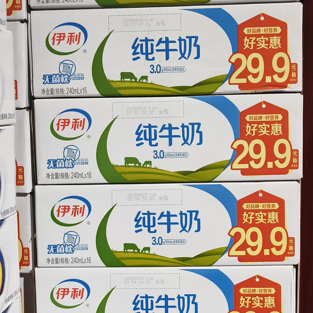 伊利纯牛奶 小枕240ml*16箱
