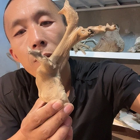 【闪购商品】柏木（崖柏）崖柏陈化料002