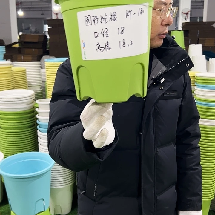 正品圆控口18高18果绿8只无托