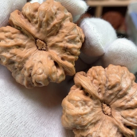 文玩核桃吊坠44全品货头山地红皮开背蹬腿蛤蟆