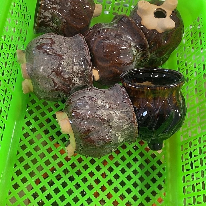 花盆抢购清货马上开始