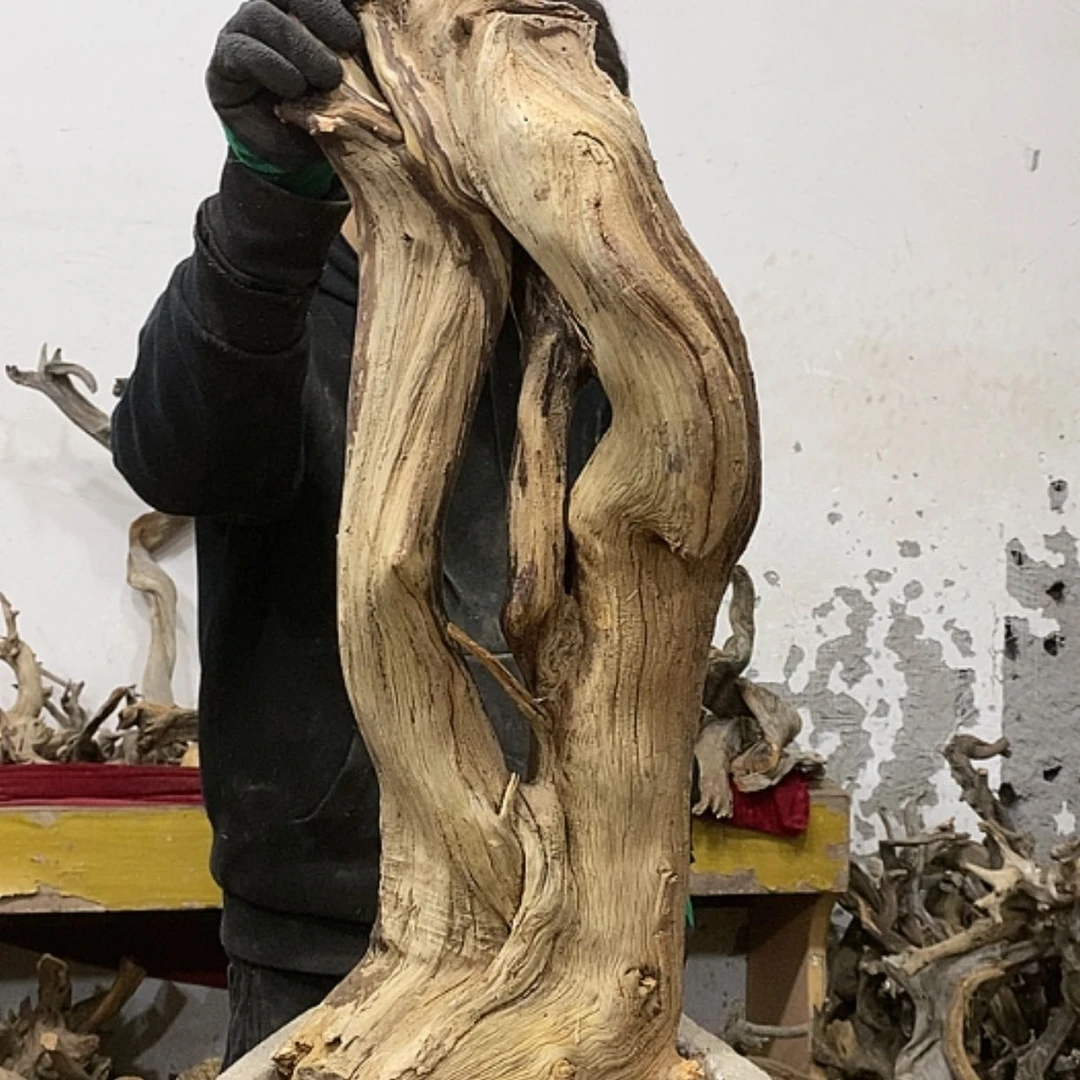 【闪购商品】柏木上****签我们都是好孩子