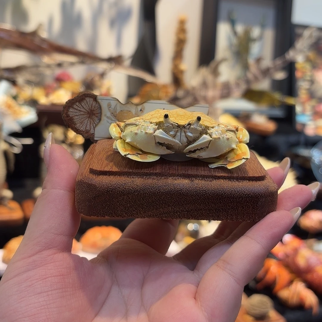 超级可爱的黎明蟹