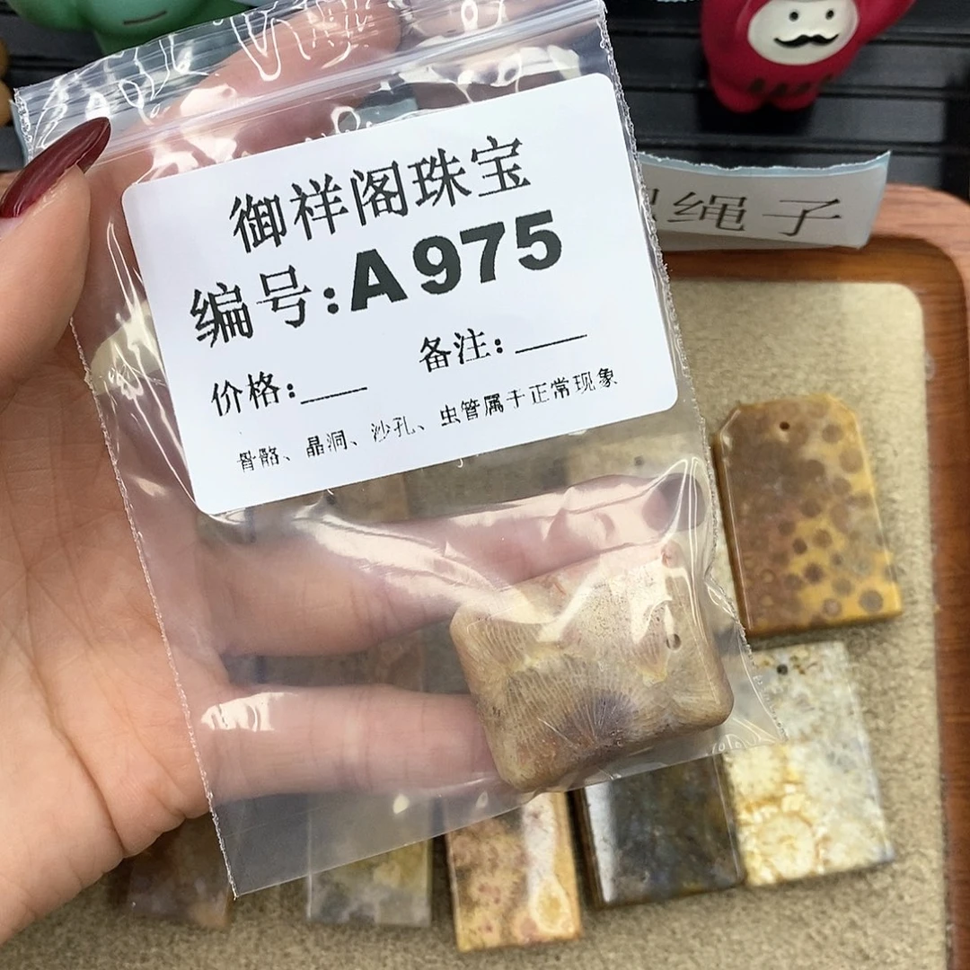 硅化珊瑚（珊瑚玉）A未镶嵌哦*6