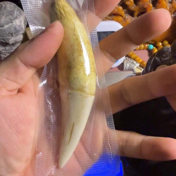 珍藏收藏专拍链接