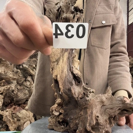 ?****)紫砂噜啦啦啦啦啦啦