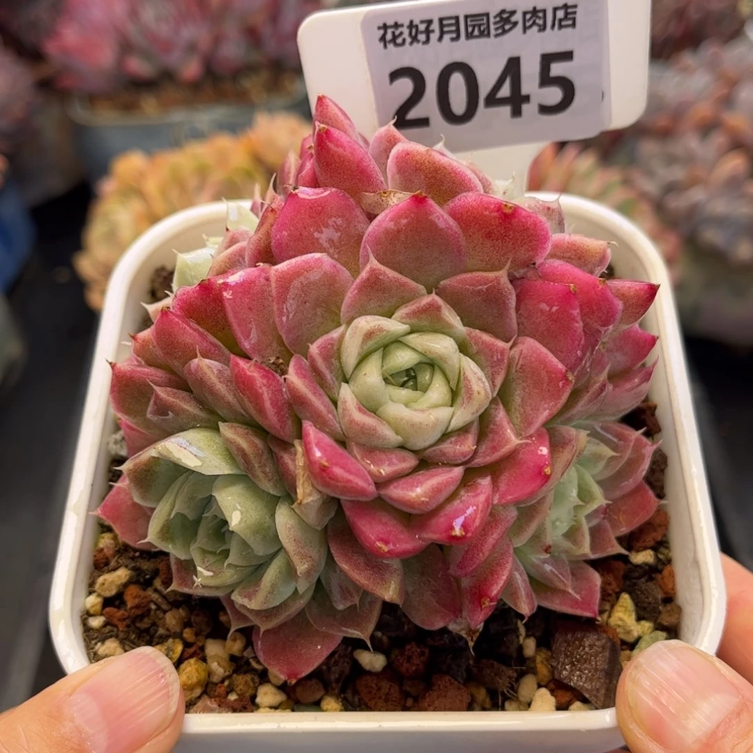 2045 满30包邮，天冷必拍保温箱