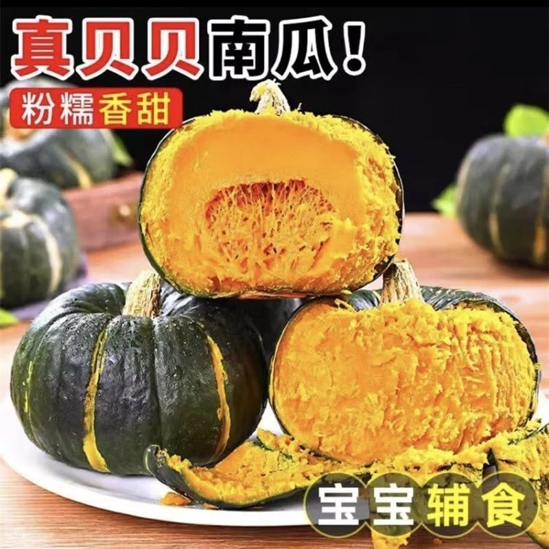 【沙地贝贝】内蒙沙地贝贝南瓜新鲜现摘粉糯香甜有板栗味适合当辅食