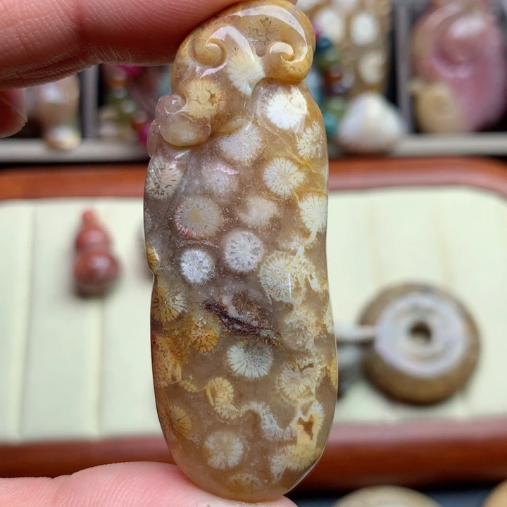 硅化珊瑚（珊瑚玉）颈饰未镶嵌