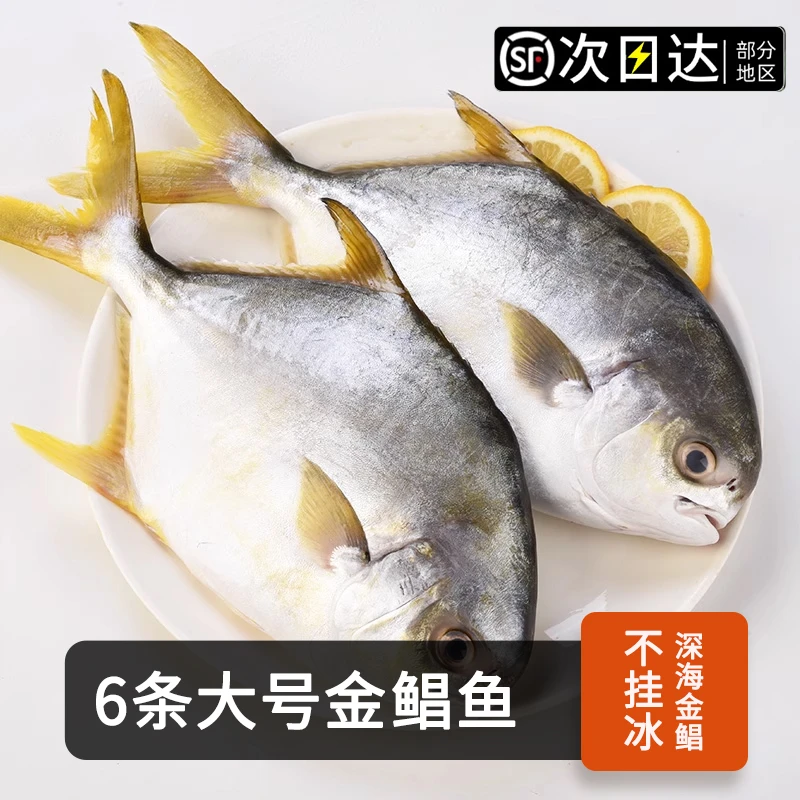 顺丰次日达【6条金鲳鱼400g/条】新货金鲳鱼新鲜海鱼海鲜水产鲜活冻