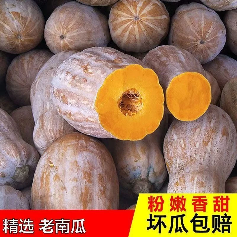 蜜本老南瓜甜糯可口当季新鲜蔬菜宝宝辅食老南瓜3/5/9斤