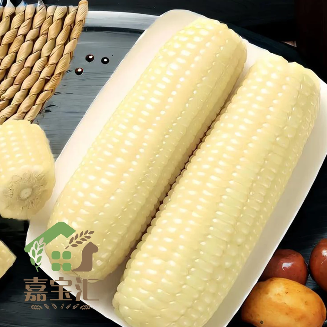 河套头茬白糯玉米真空包装