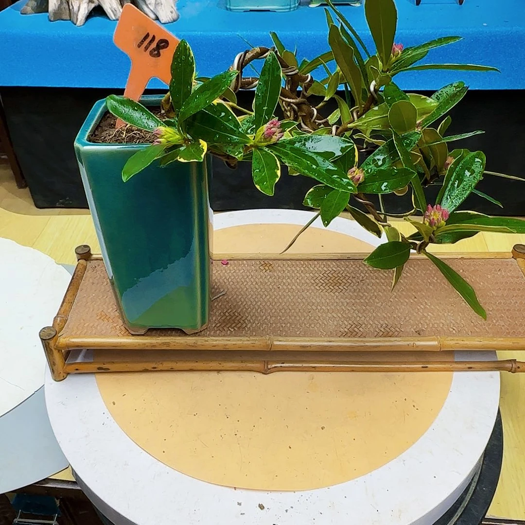 红陶@*鱼d f h j k l l