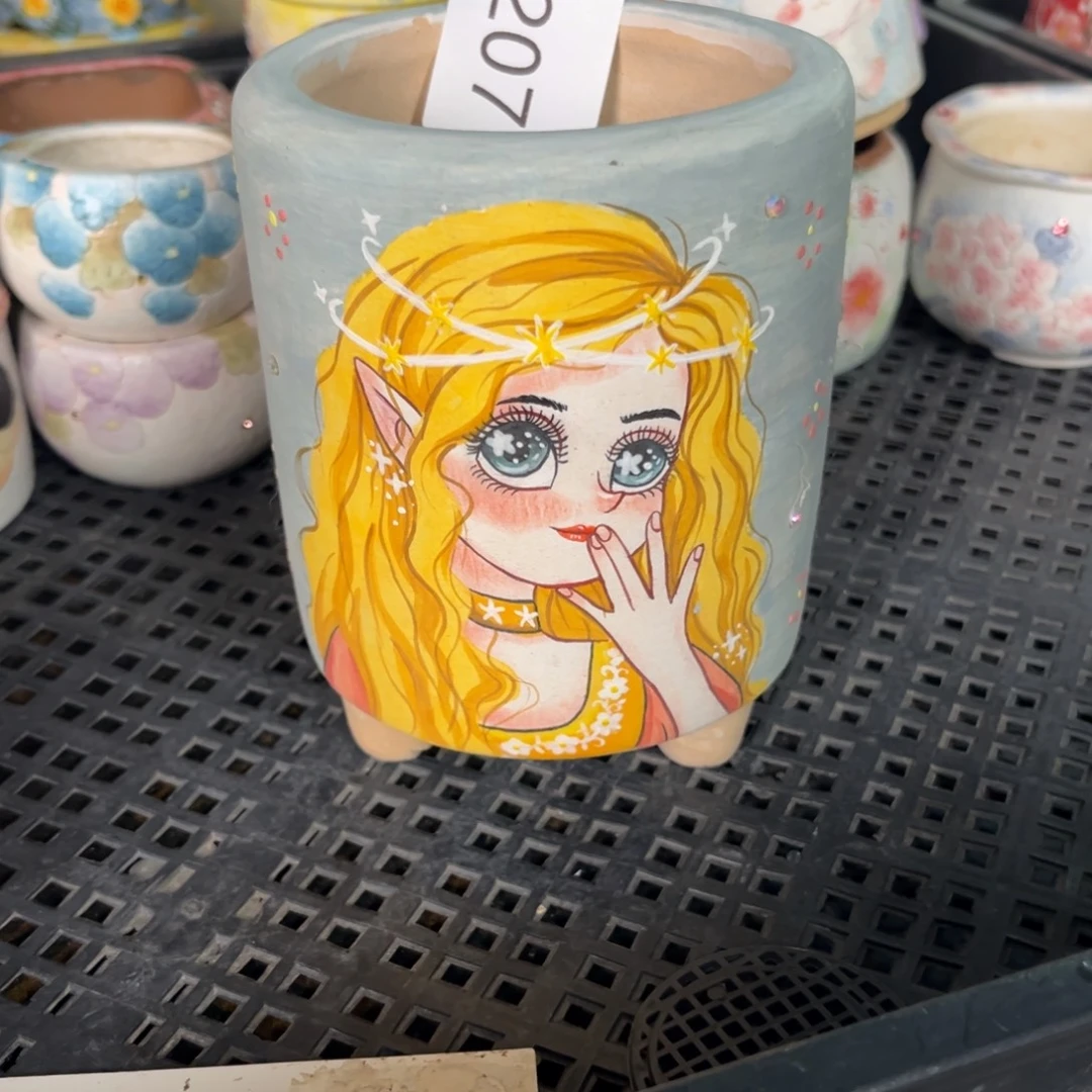 P***-207多肉花盆   1个