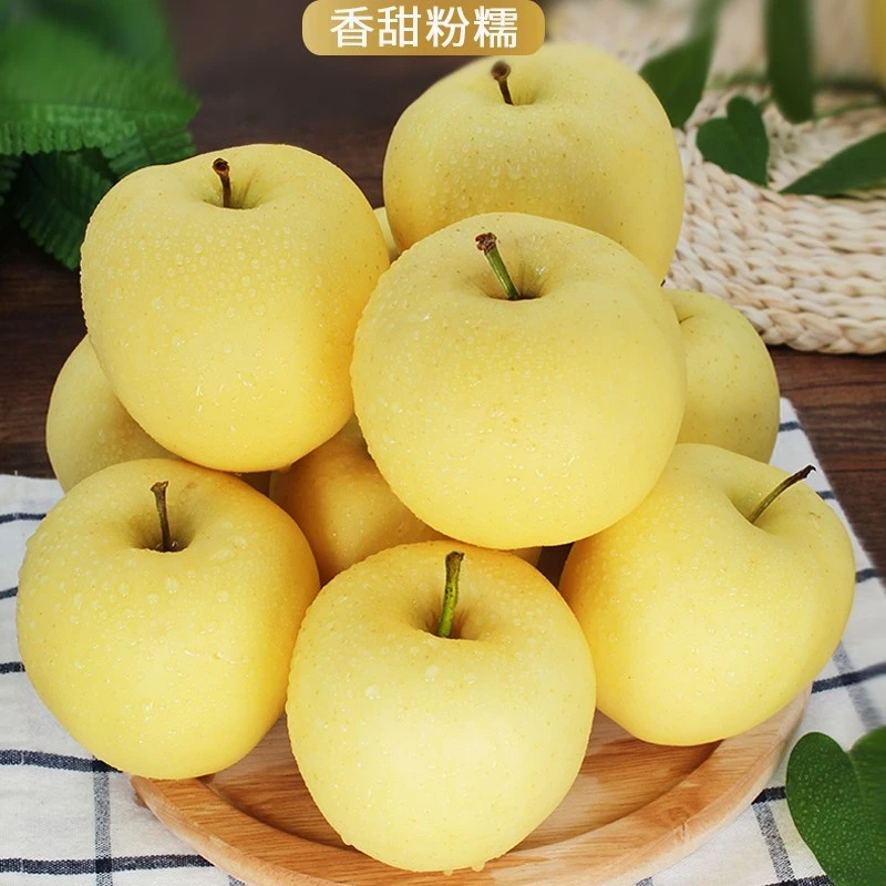 正宗东北新鲜有应季黄元帅苹果脆甜多汁香甜粉面