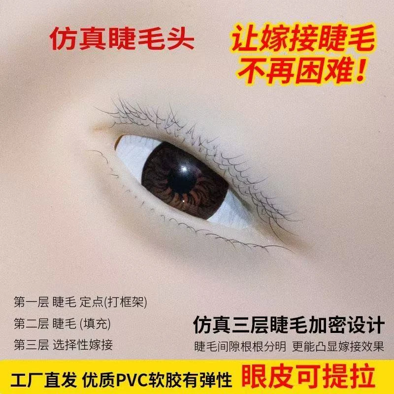 美睫练习模特头三层睫毛可提拉眼皮重复使用美睫教学用品