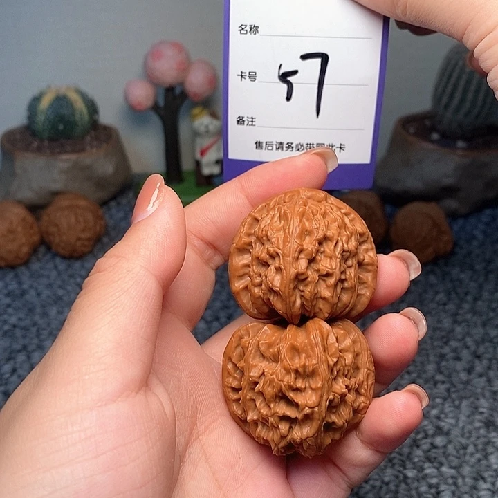吊坠龙脊菩提白狮子 39
