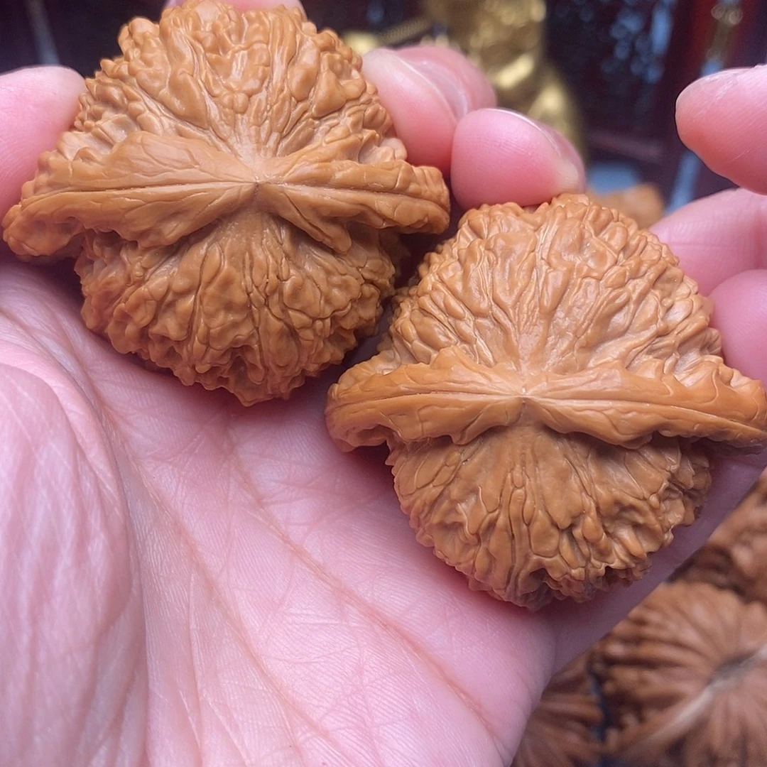 文玩核桃把件毕业精品粗棱肉球白狮子47尺