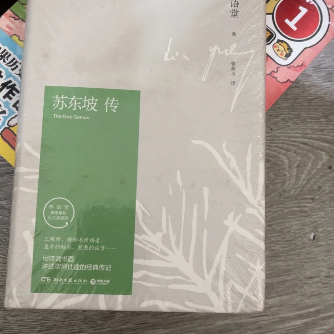 苏东坡伟大的爱情的故事