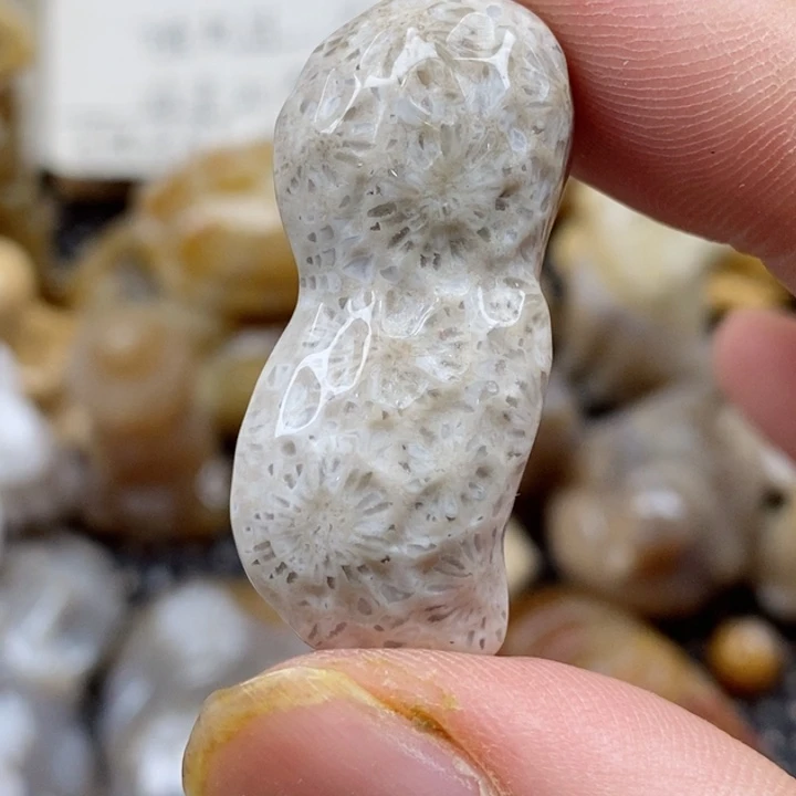 颈饰未镶嵌硅化珊瑚（珊瑚玉）晨*晨