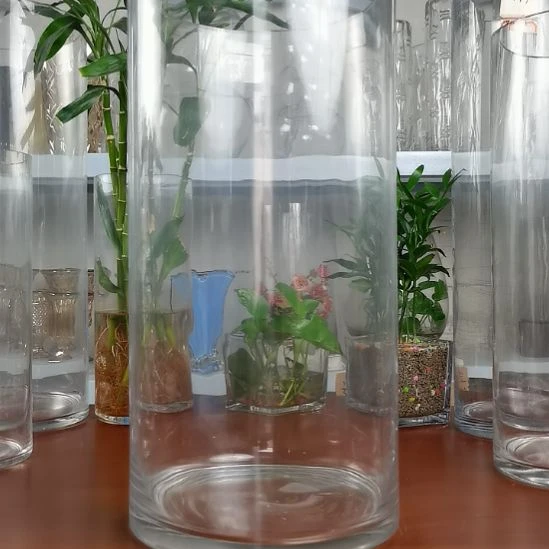 玻璃昌达玻璃直筒高度40口径20