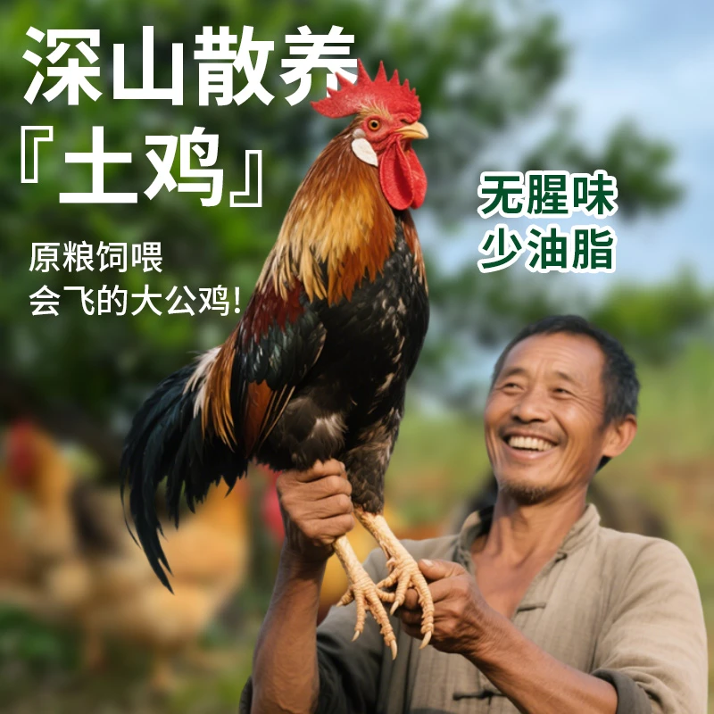 【尝鲜款! 两只大公鸡】放养大公鸡香嫩鲜土鸡无腥味少油脂顺丰包邮