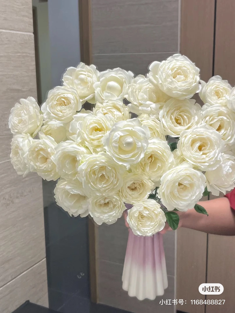 【玫瑰】白羽 任拍三单顺丰空运包邮鲜切花家居花店插花