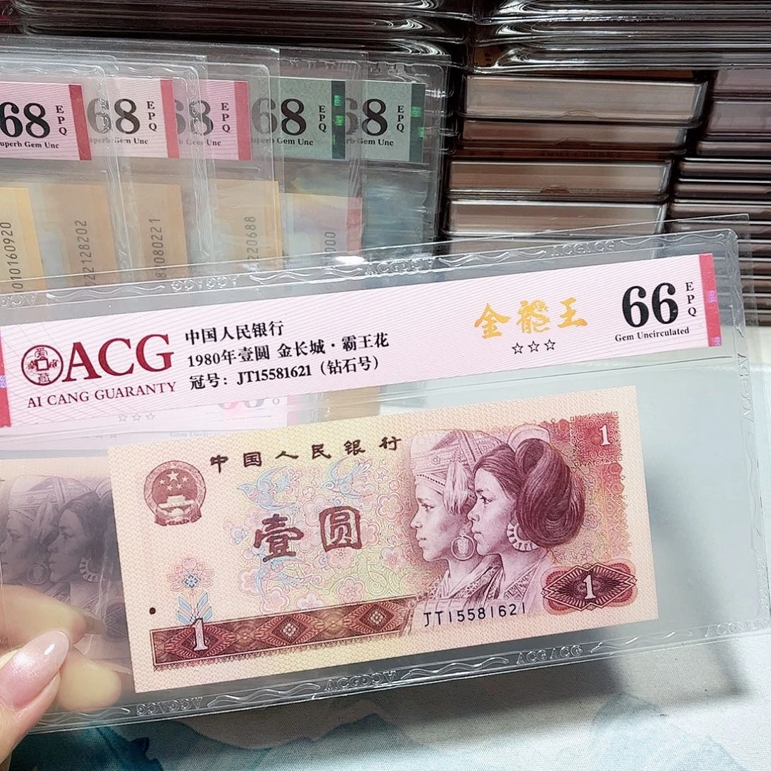 15581621。。。。。金龙王