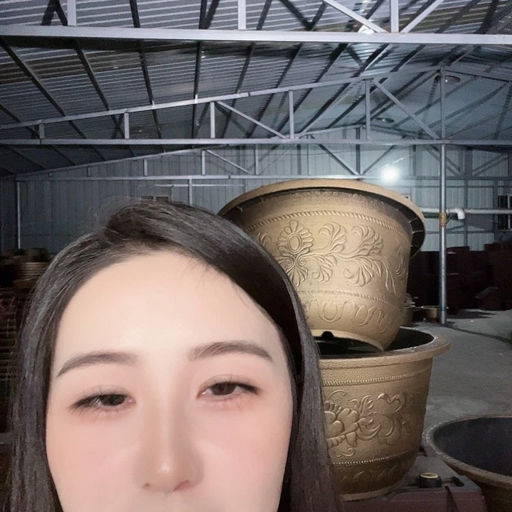 圆60口径花盆十个