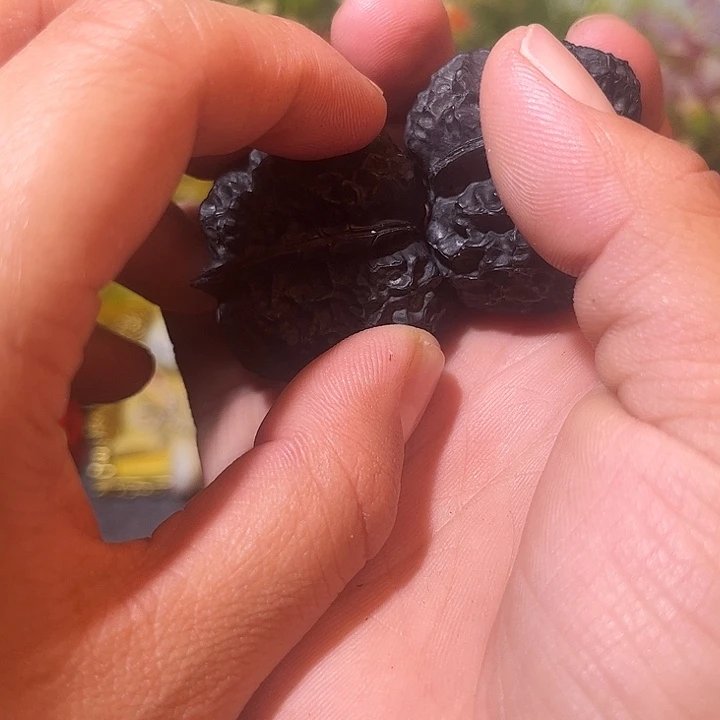 文玩核桃吊坠滇西6