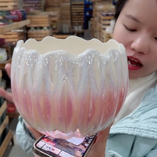 红陶直播间已有一年