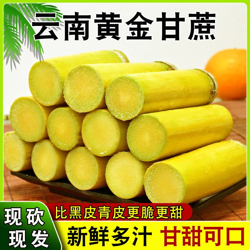 【到手9斤】年货甘蔗正宗新鲜云南黄皮甘蔗爆甜脆嫩汁多手撕薄皮