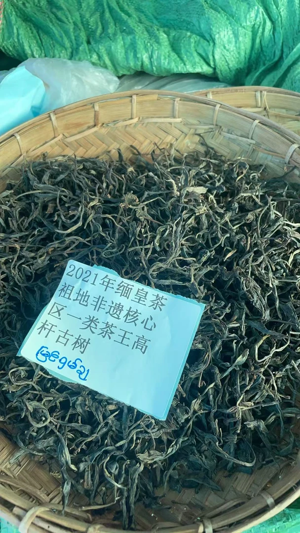 散茶21年缅皇茶祖地非遗核心区一类茶王高杆AY61SA7A0030FW711