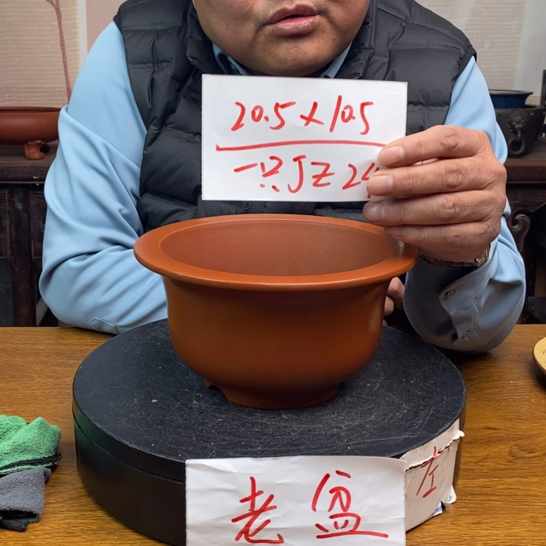 红陶货号一只JZ24