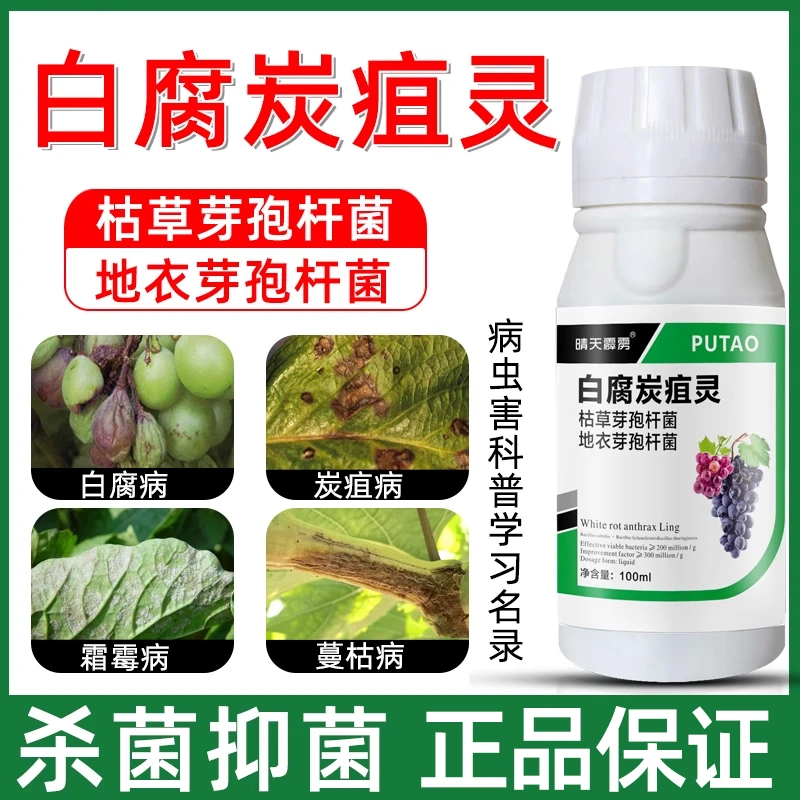 葡萄病害药穗轴褐枯病卷叶病霜霉病黄叶叶斑葡萄软腐葡萄病菌清