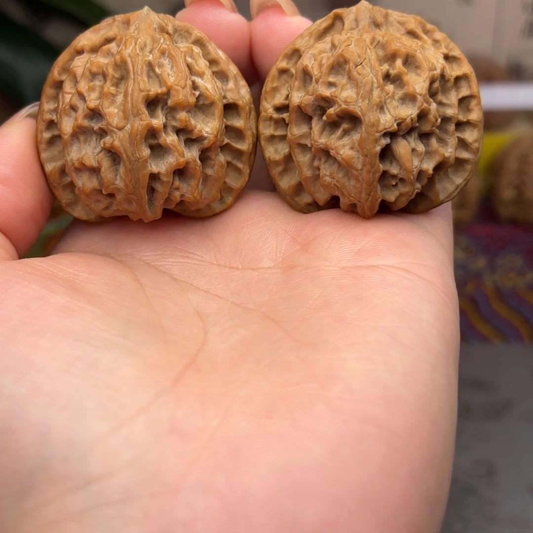 爱***～苹果园狮子头四十一尺